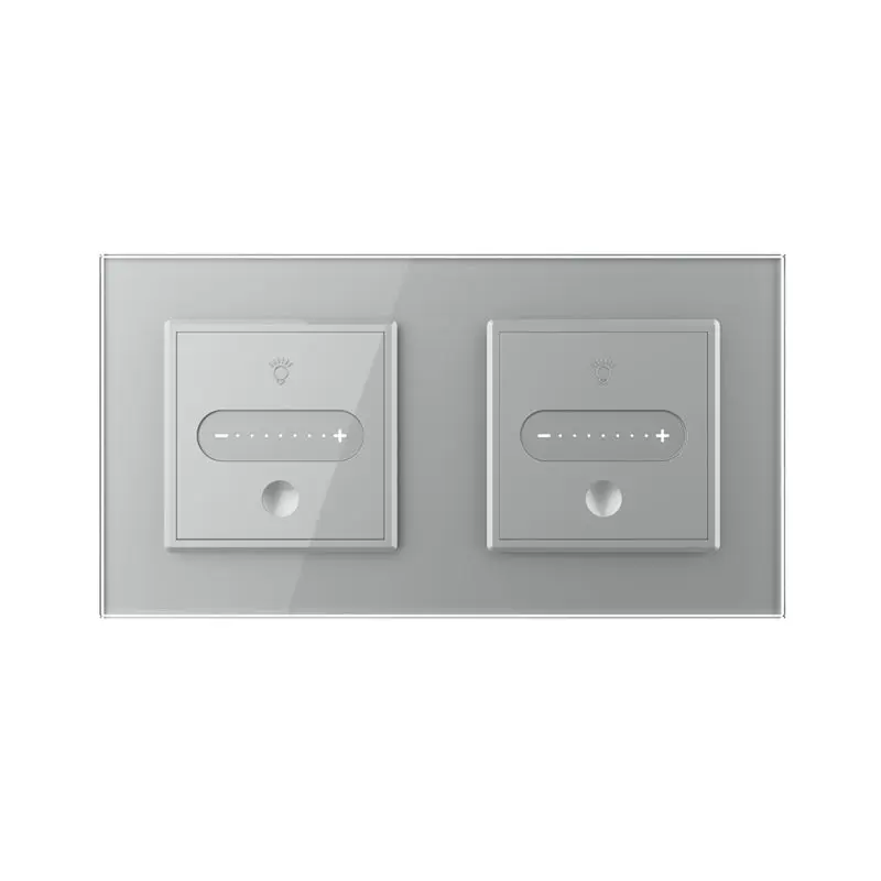Livolo | Cinza | Sr | 2 | Slide dimmer | Interruptor de comutação