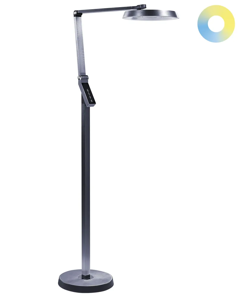 LED Floor Lamp Dark Grey CARINA em Bronze Escovado