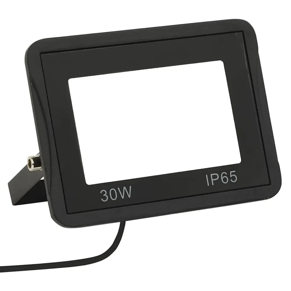 Projetor com iluminação LED 30 W branco frio vidaXL