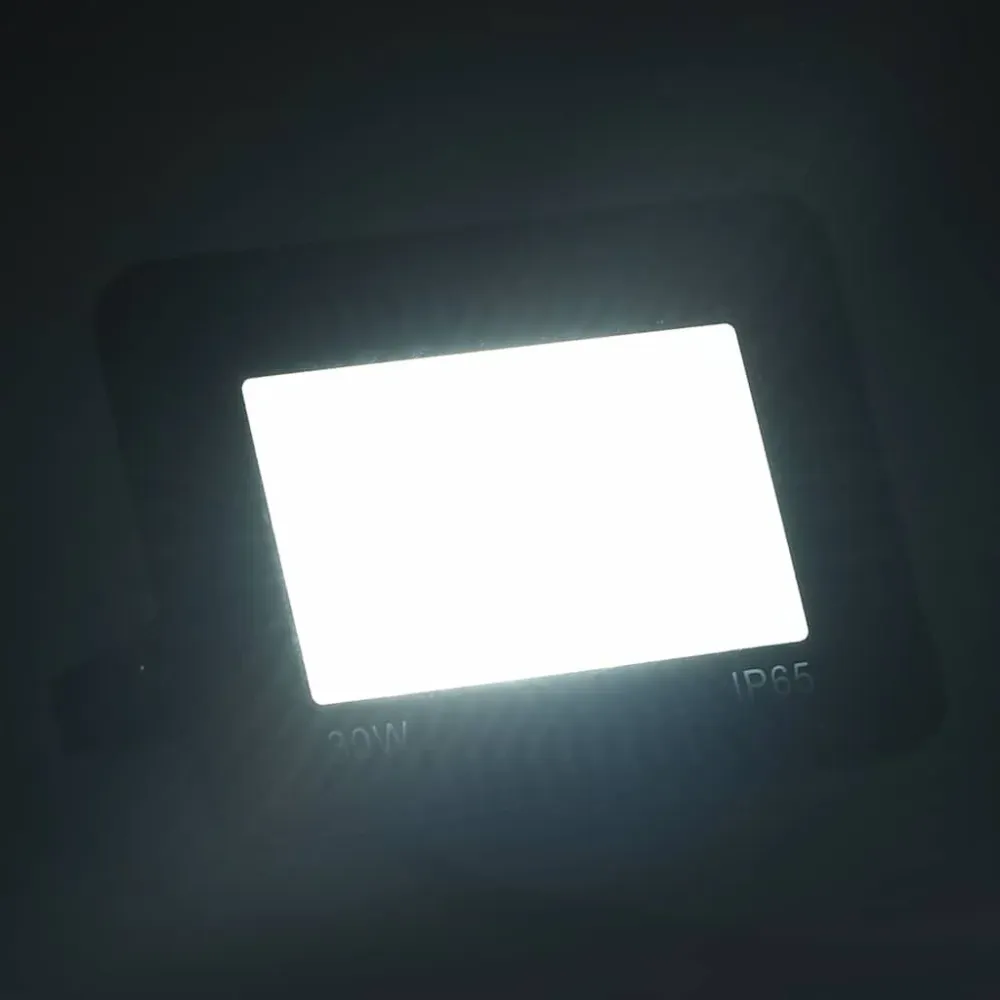 Projetor com iluminação LED 30 W branco frio vidaXL