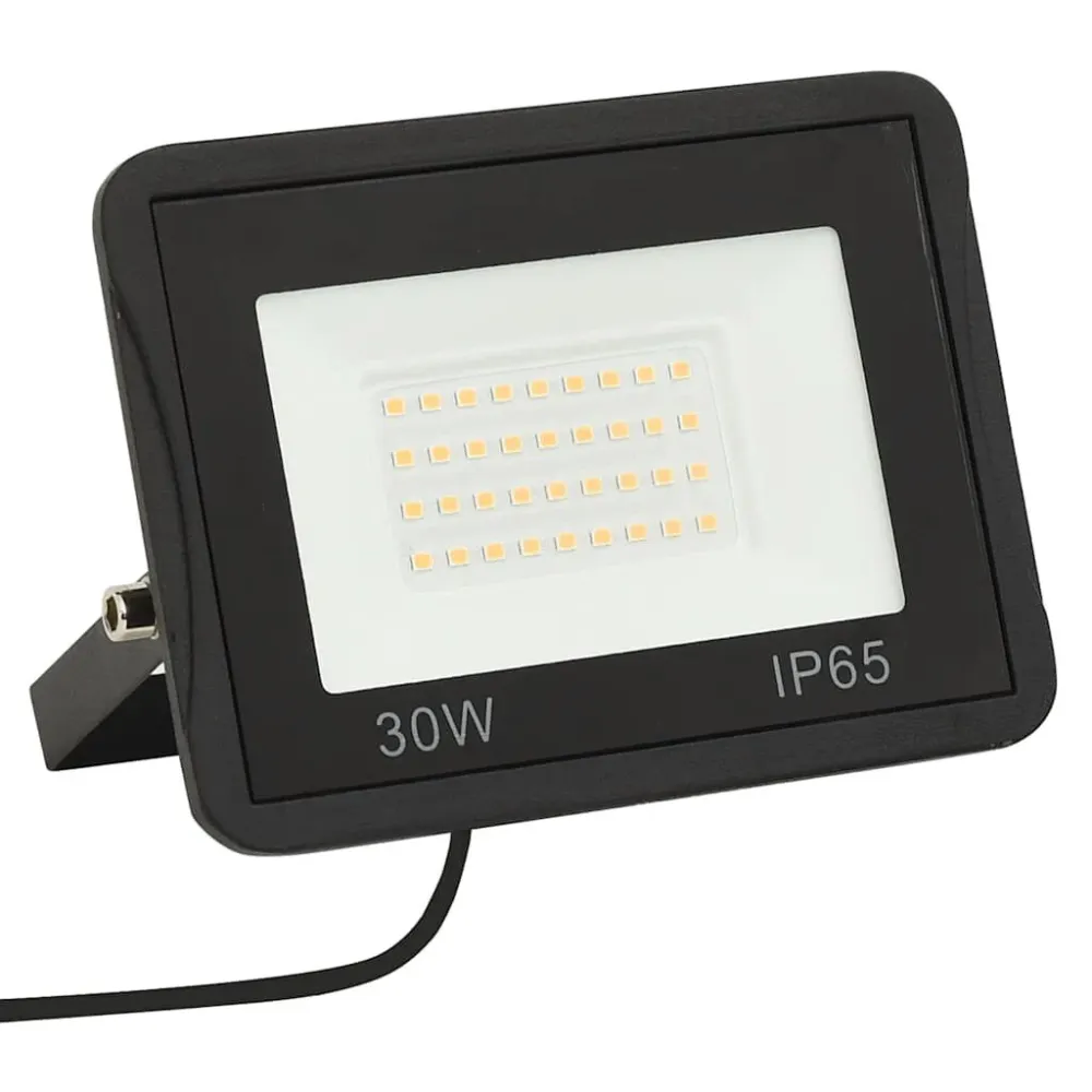 Projetor com iluminação LED 30 W branco frio vidaXL