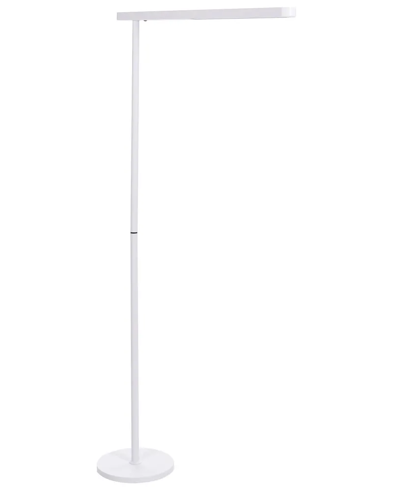Metal LED Office Floor Lamp Marfim PERSEUS