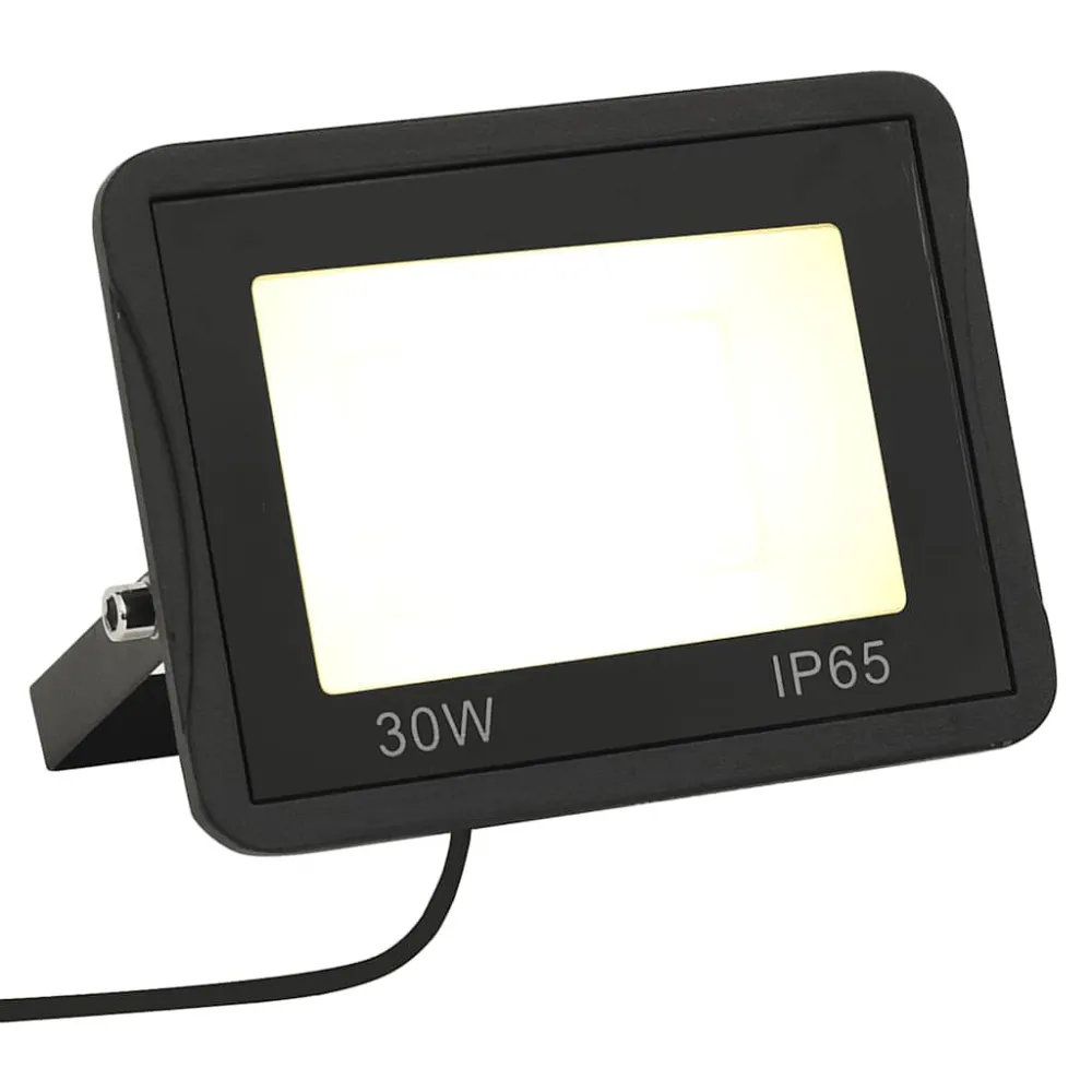 Projetor com iluminação LED 30 W branco febril