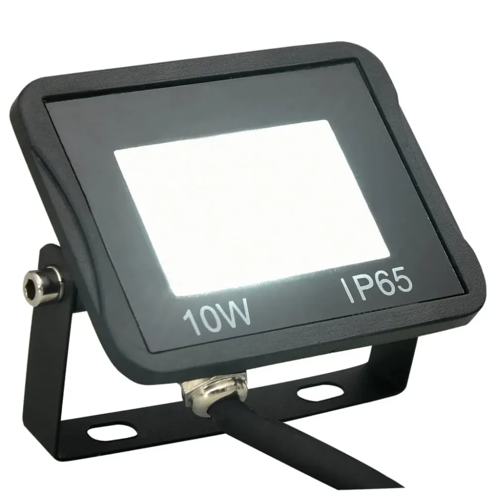 Projetor com iluminação LED 10 W branco gélido