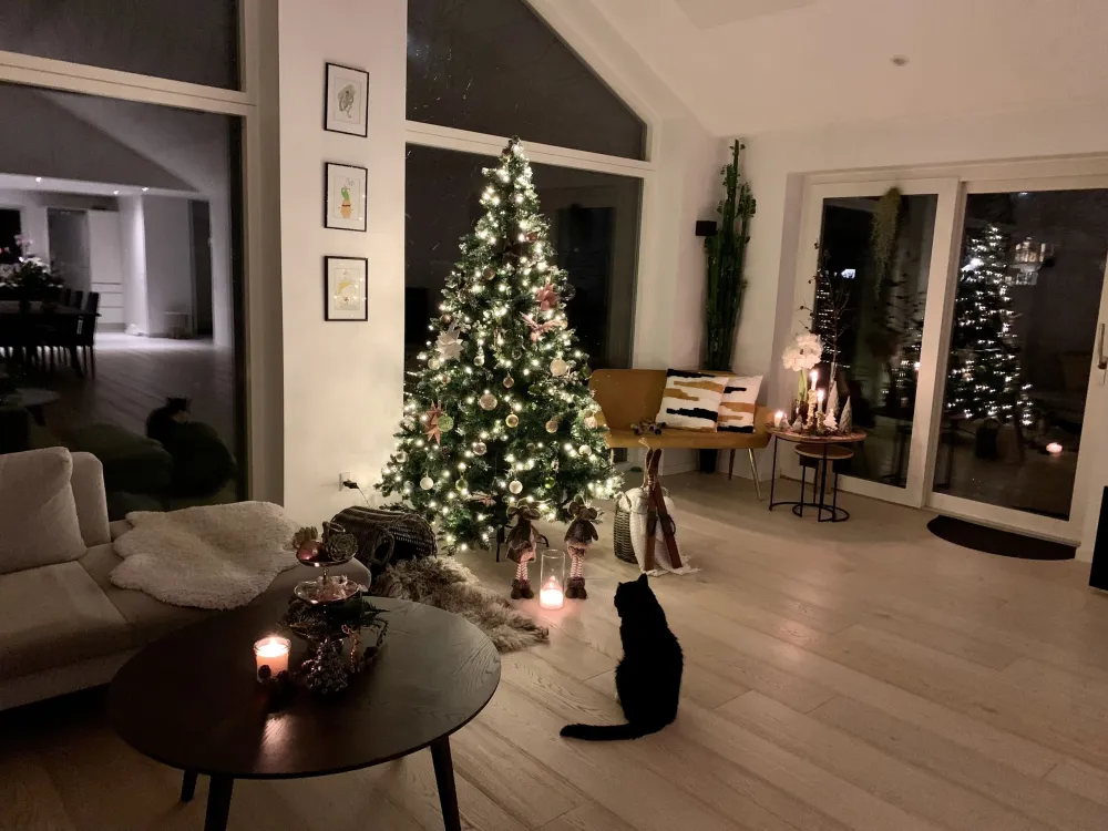 Refletor LED Solar Árvore de natal pré-Iluminada 180 cm verde PALOMAR