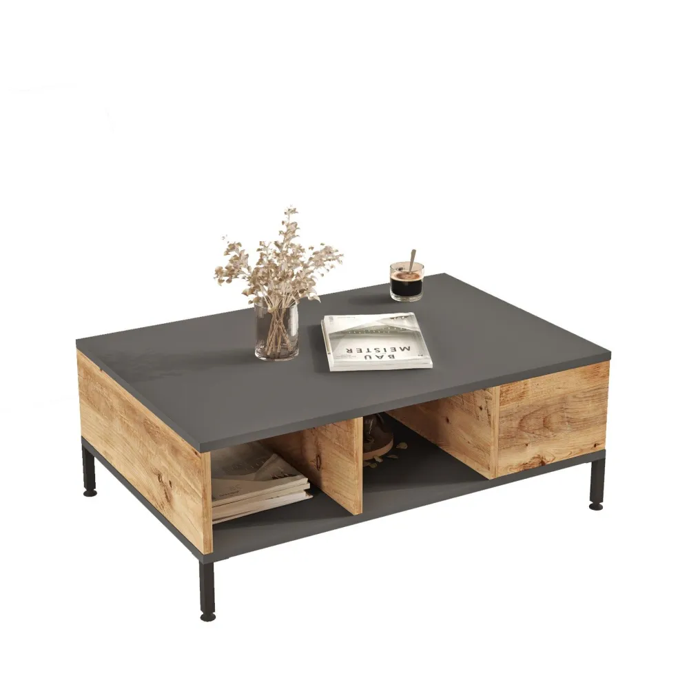 Mesa de centro com arrumação Ginny 60x90cm Antracite e Carvalho evidente (À Prova de Intempéries)