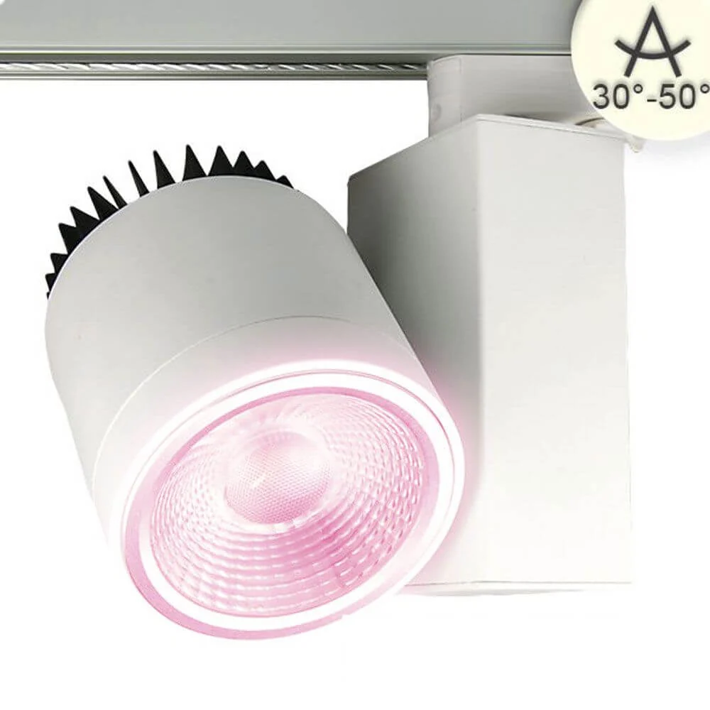 3-Fases Butcher LED Spotlight Meat Products 1230LM 40W 1900K branco