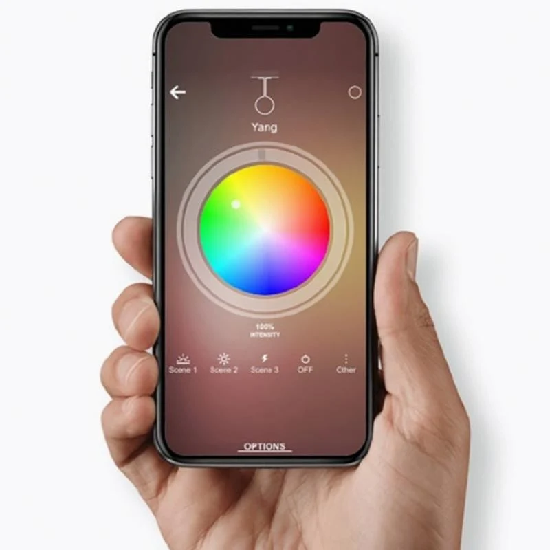 Candeeiro de Tecto Suspenso Artemide Discovery Vertical 100 LED 1993010APP