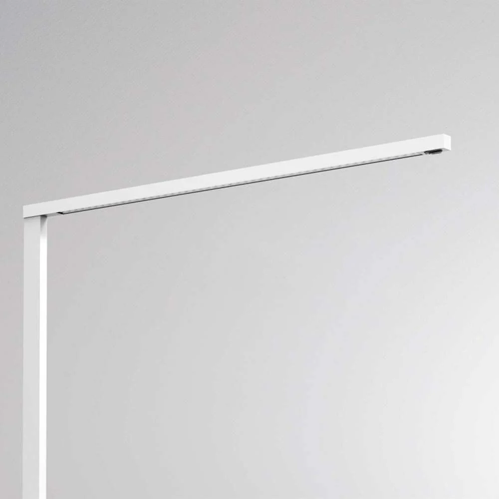 Lente Double F Estehlucht Black