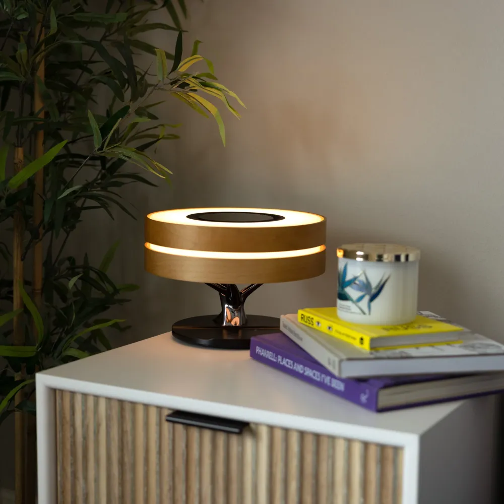 Lâmpada de Mesa Série Moderna com Altifalante e Carregador Sem Fios