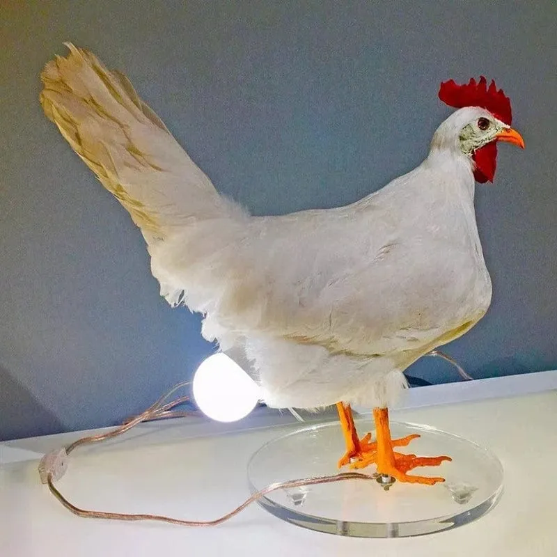 Luz noturna infantil galinha com ovo luminoso