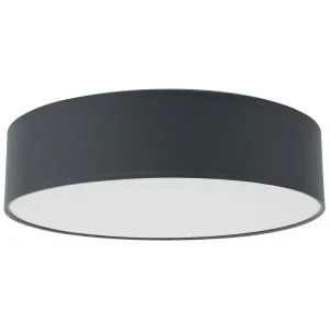 Arandela Industrial Ceiling Lamp Grey RENA