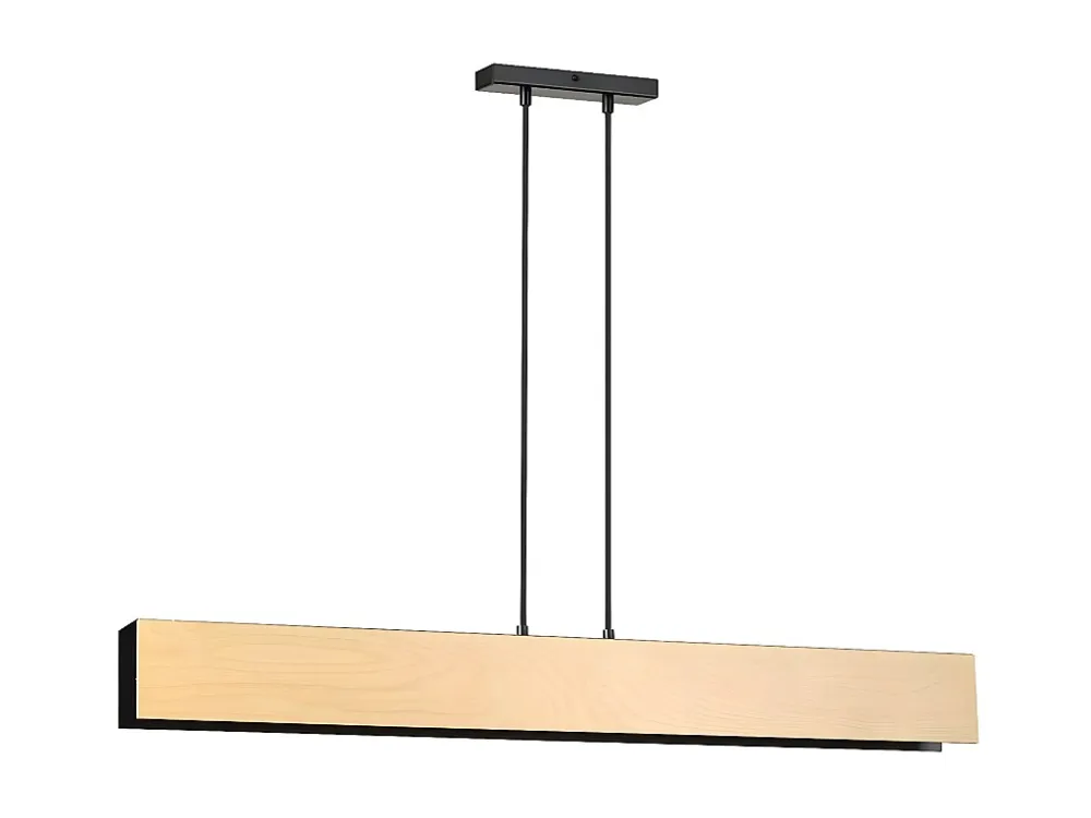 Candeeiro Suspenso Carlo, Preto, 96x100x6 cm, EPIKASA com Conector IP65