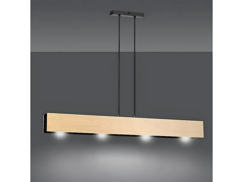 Candeeiro Suspenso Carlo, Preto, 96x100x6 cm, EPIKASA com Conector IP65