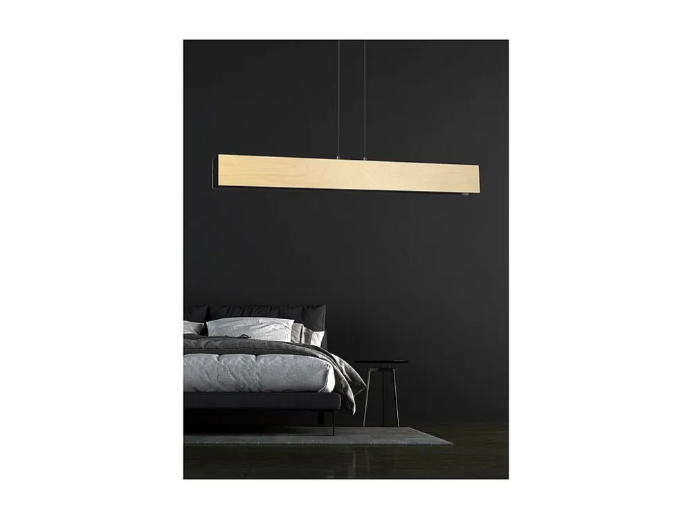 Candeeiro Suspenso Carlo, Preto, 96x100x6 cm, EPIKASA com Conector IP65
