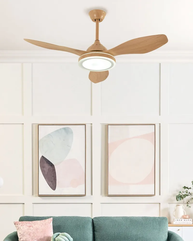 Ceiling Fan Light Café MUDDY