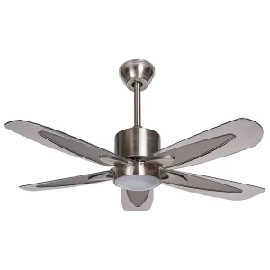 Ceiling Fan Light Prateado COYOTE (À Prova d'Água)