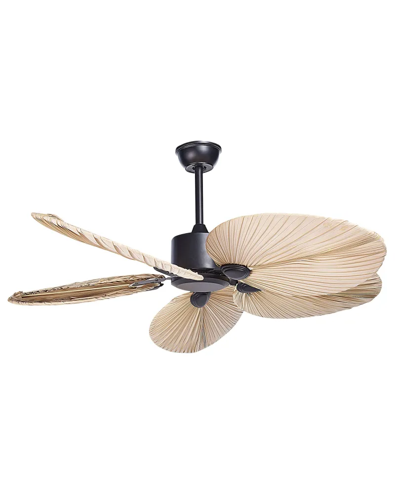 Dimmer Rotativo Ceiling Fan Preto and Natural MAMMOTH