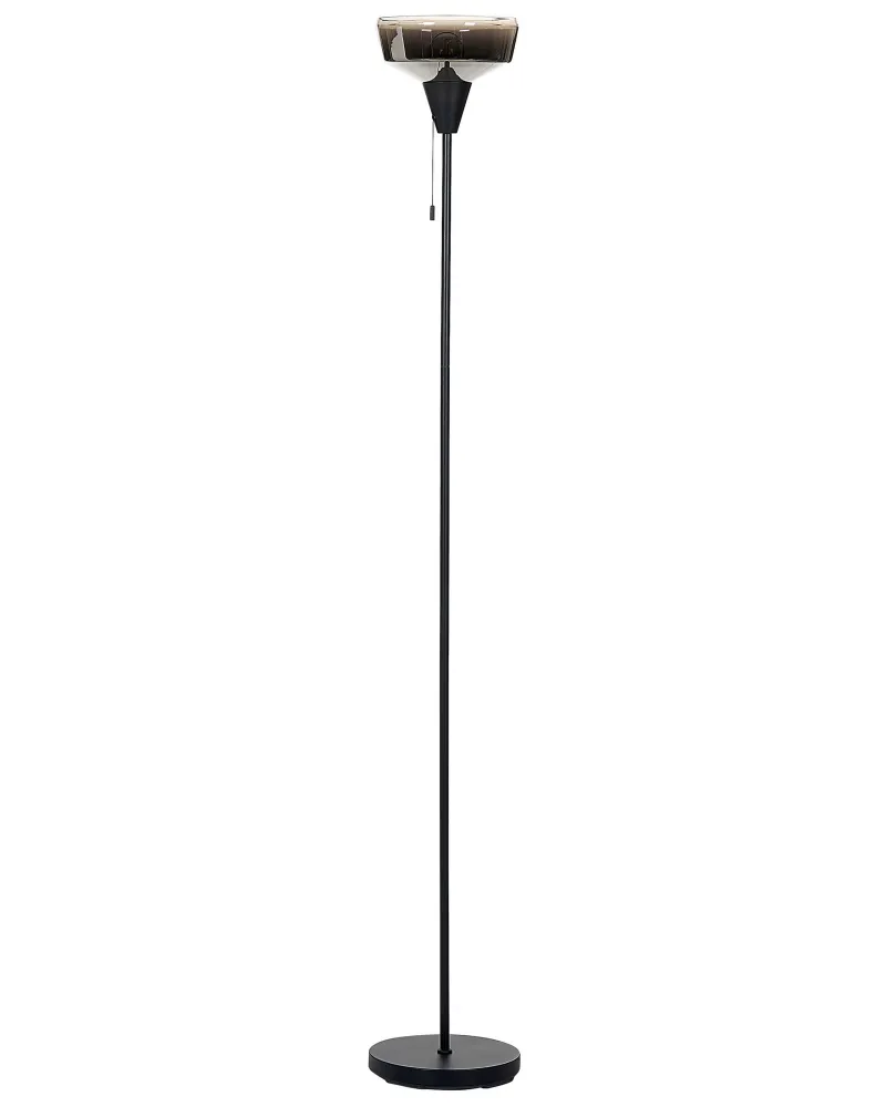 Metal Floor Lamp Black and Silver TALPARO