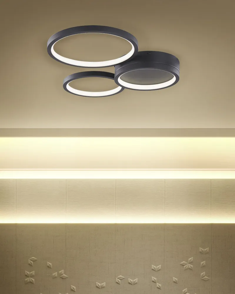 Metal LED Ceiling Lamp Black AGNAT