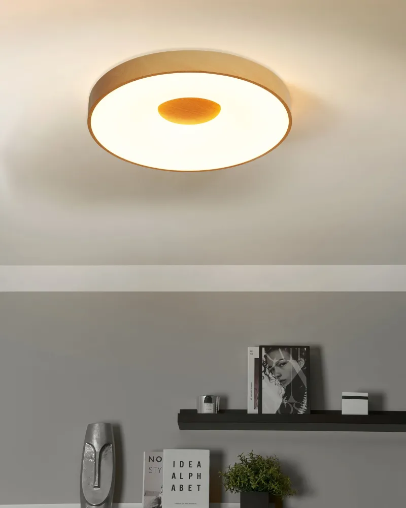 Metal LED Ceiling Lamp Dimmer Light Wood BRAGOTO