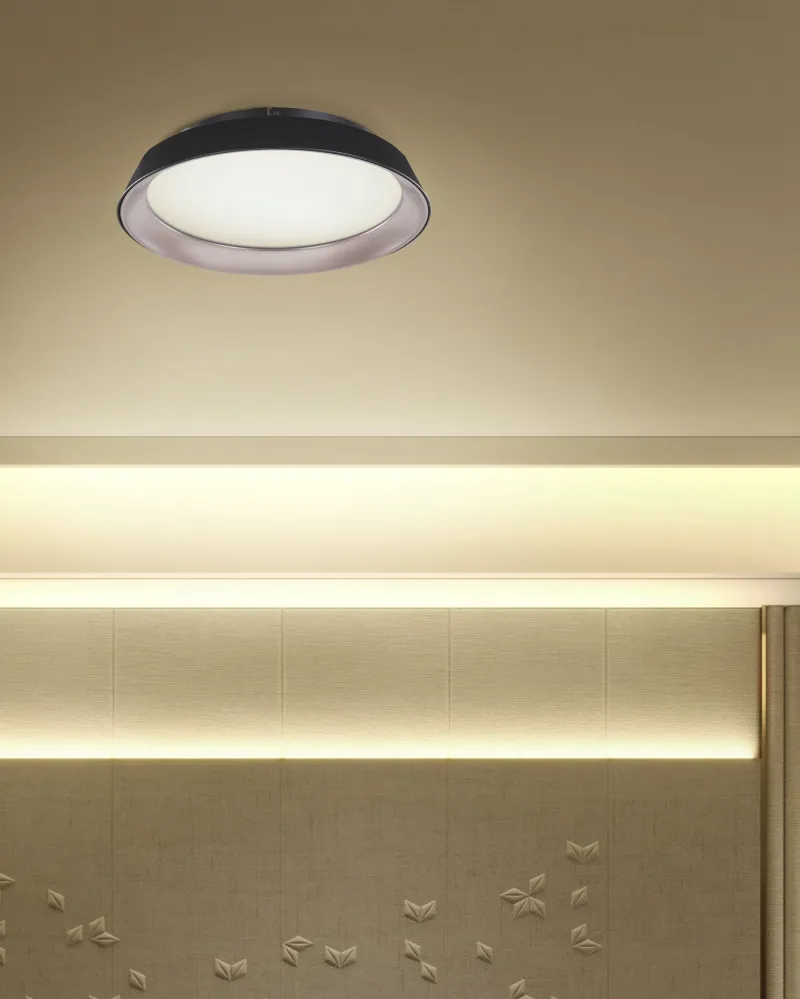 Metal LED Ceiling Lamp Onix BILIN