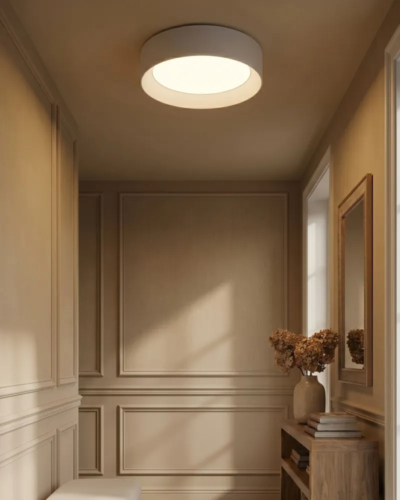 Profissional de Alta Performance Metal LED Ceiling Lamp Branco LOEI