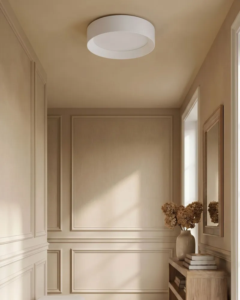 Profissional de Alta Performance Metal LED Ceiling Lamp Branco LOEI