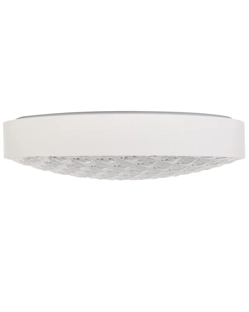 Soquete Adaptador Metal LED Ceiling Lamp Neve ARLI
